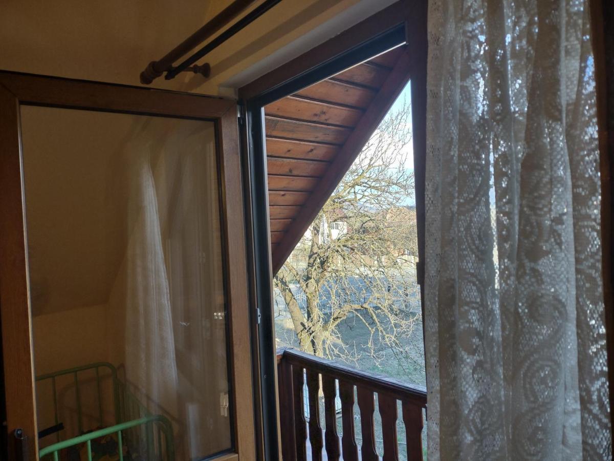 Pensiunea Ghita Vasile Vadu Izei Εξωτερικό φωτογραφία