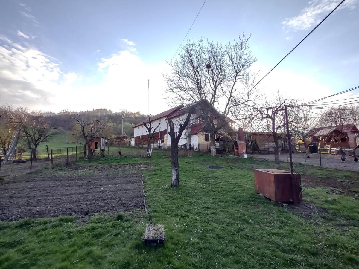 Pensiunea Ghita Vasile Vadu Izei Εξωτερικό φωτογραφία