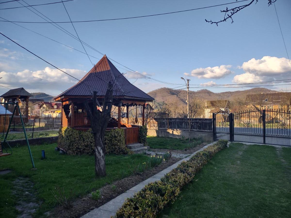 Pensiunea Ghita Vasile Vadu Izei Εξωτερικό φωτογραφία