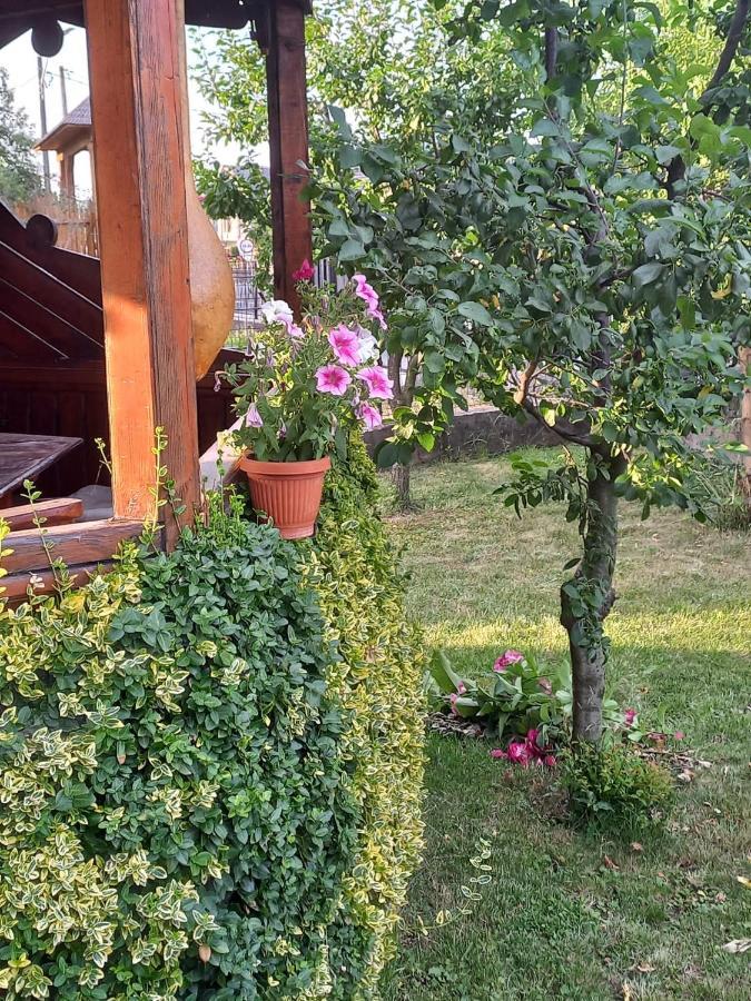 Pensiunea Ghita Vasile Vadu Izei Εξωτερικό φωτογραφία